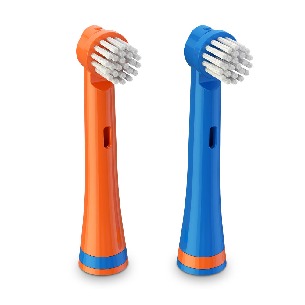 Brusheez Replacement Brush Heads 2 Pack - Buddy the Bear