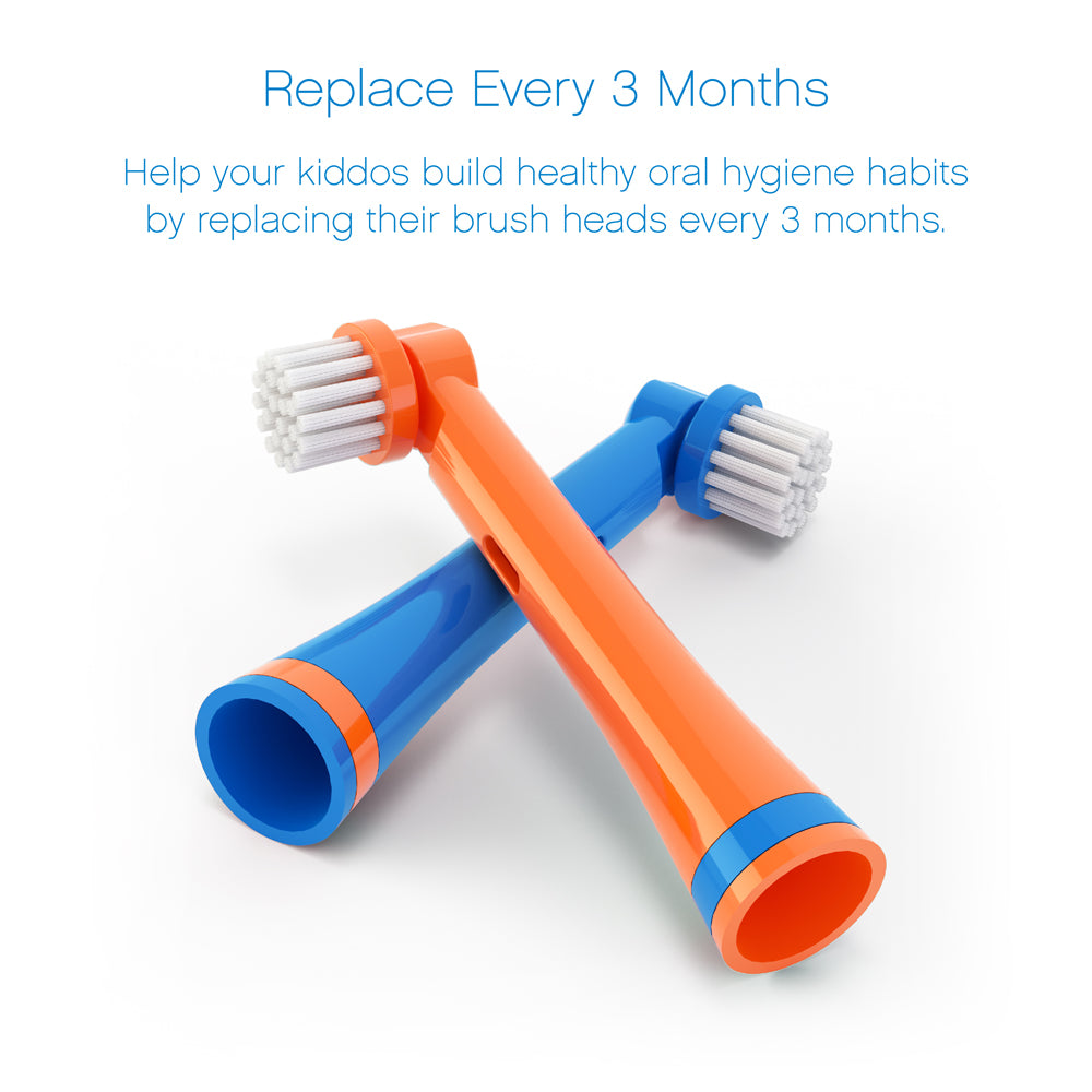 Brusheez Replacement Brush Heads 2 Pack - Buddy the Bear