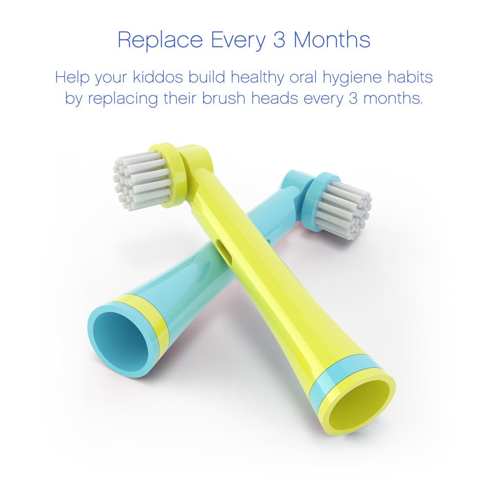 Replacement Brush Heads 2 Pack - Ollie the Elephant | Brusheez®