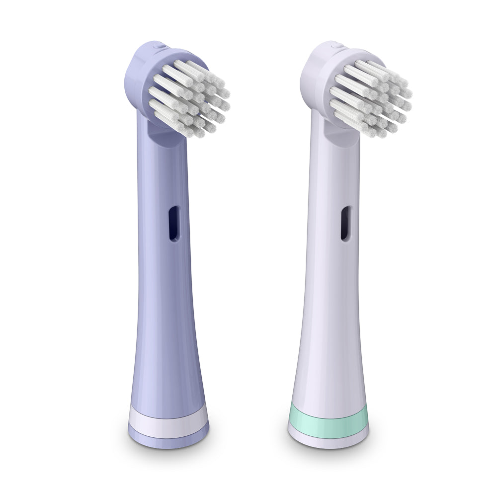 Replacement Brush Heads 2 Pack - Luna the Llama | Brusheez®