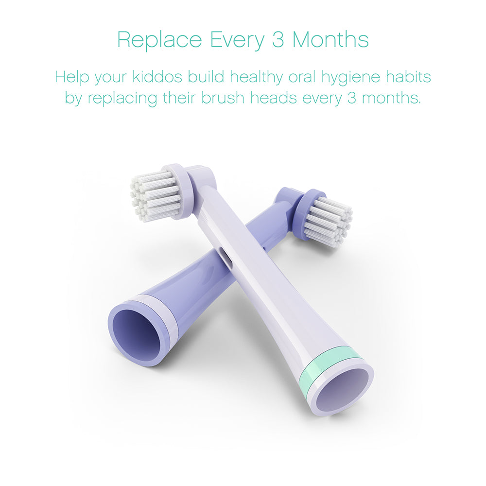 Replacement Brush Heads 2 Pack -  Luna the Llama | Brusheez®