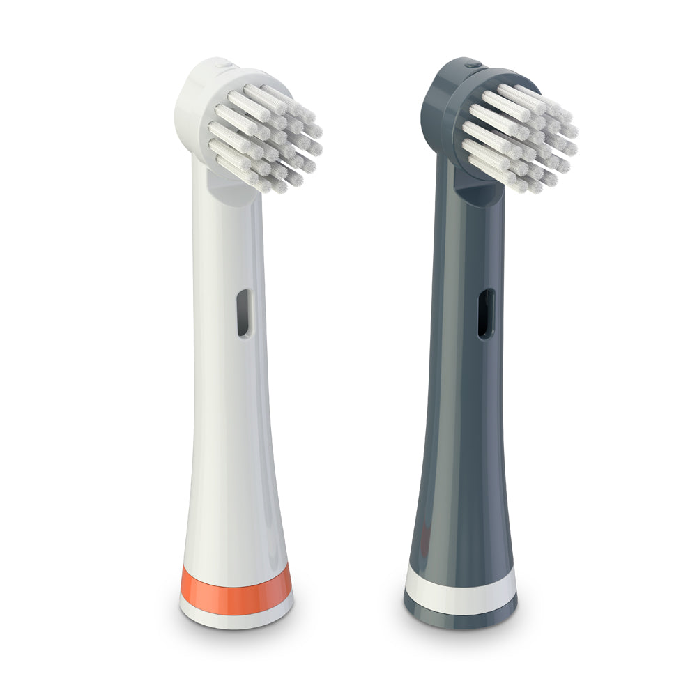 Replacement Brush Heads 2 Pack - Shadow the Shark | Brusheez®